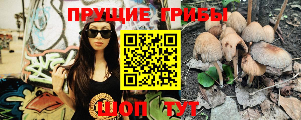 Псилоцибиновые грибы Psilocybine cubensis  Псилоцибиновые грибы ЛСД  закладка  Вход с VPN  Кашира 