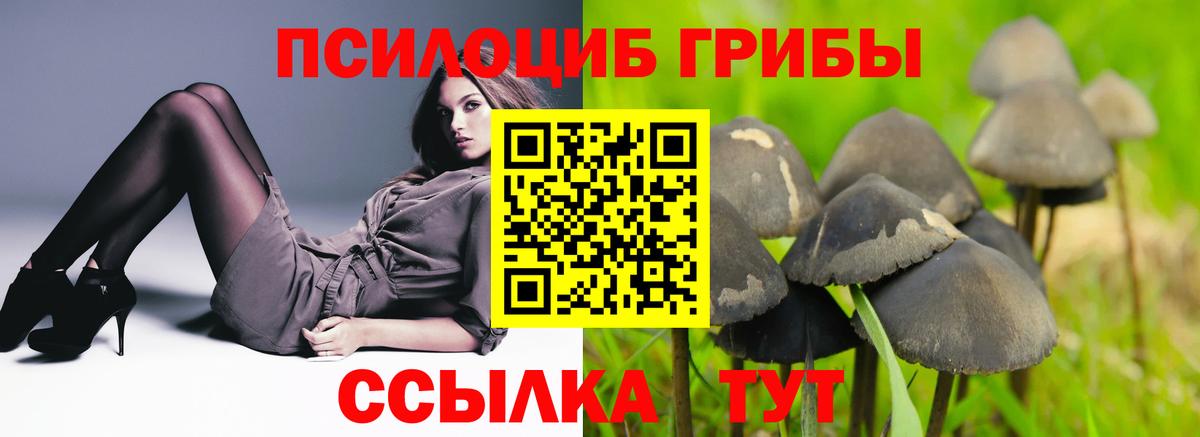 Псилоцибиновые грибы мицелий Кашира